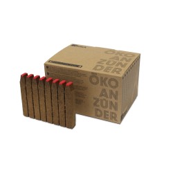 ECO ALLUME-FEU RIKA 10 PLAQUES